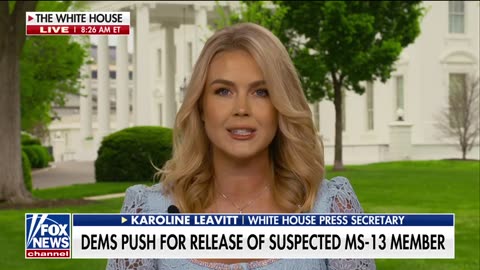 Leavitt Slams Van Hollen’s El Salvador Trip as a ‘Shameful Spectacle’