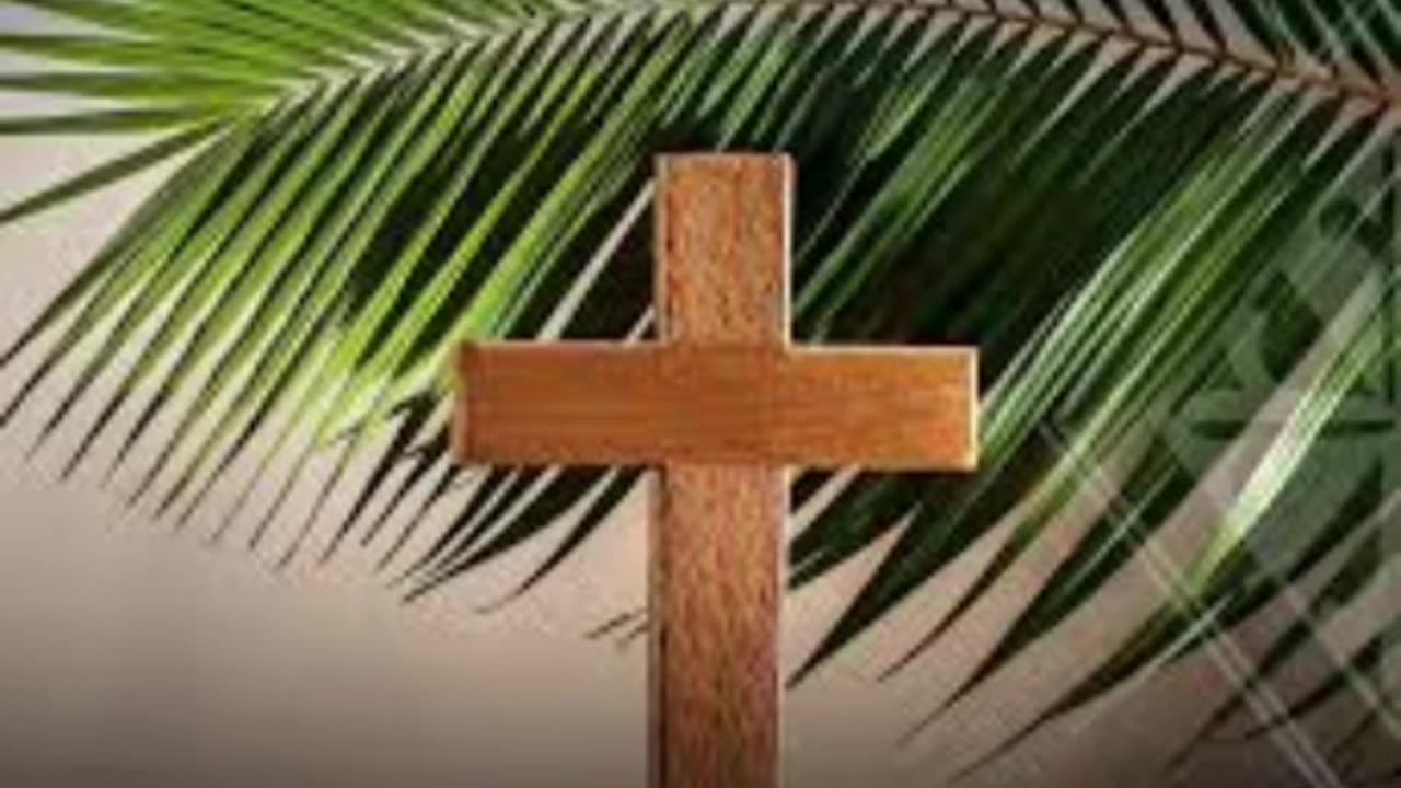 Happy palm 🌴 Sunday everyone 2025 04/13/25
