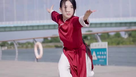 Fanziquan