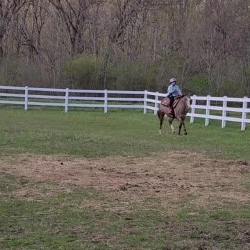 Outside Diva and Kyla are learning to canter together!
