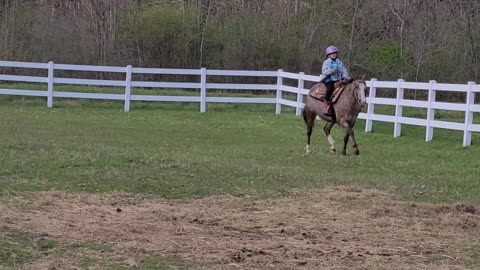 Outside Diva and Kyla are learning to canter together!