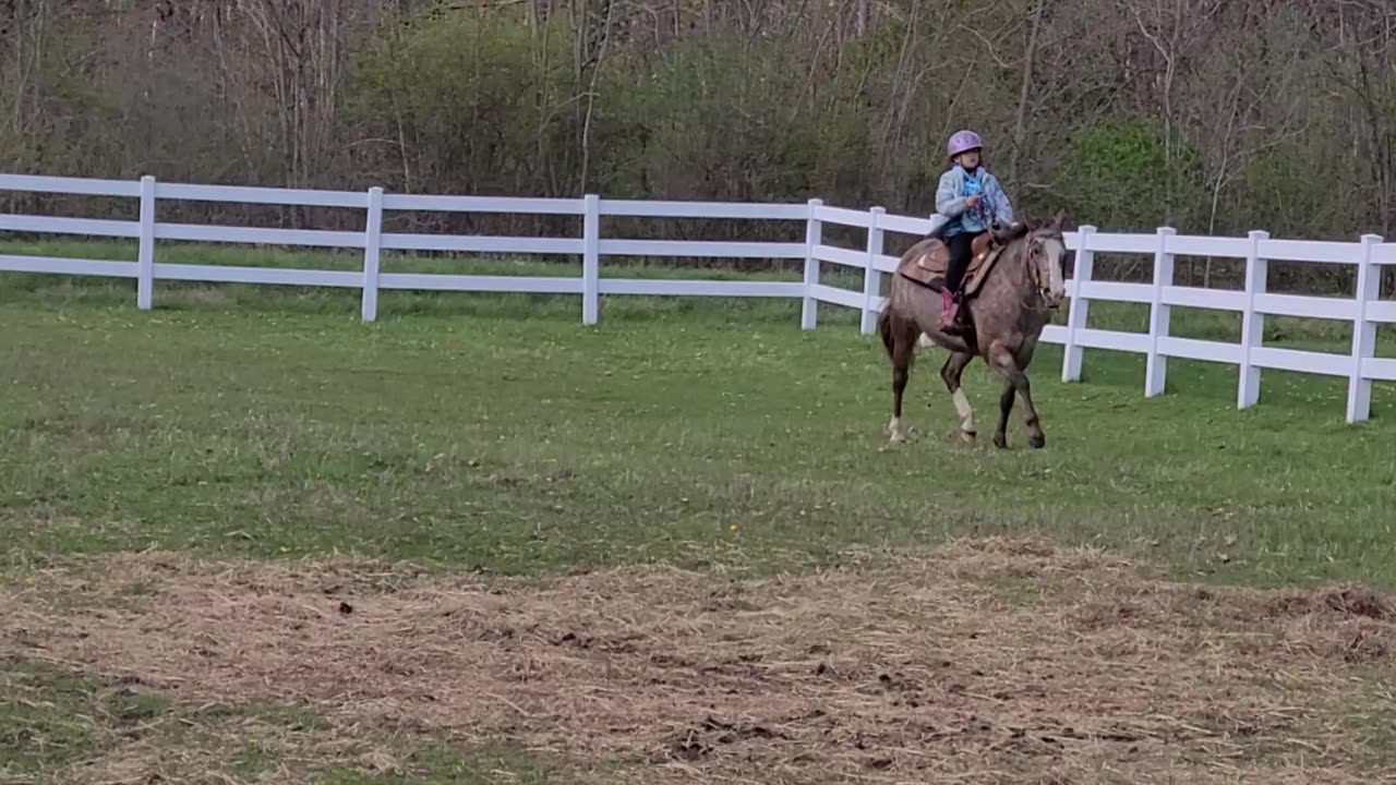 Outside Diva and Kyla are learning to canter together!