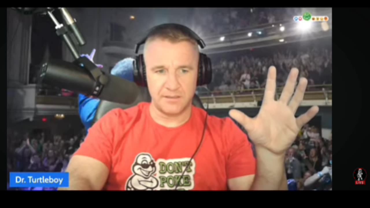 Turtleboy: How it all began with Meredith