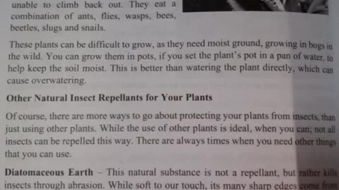 #Natural Insect Repellents for your Plants