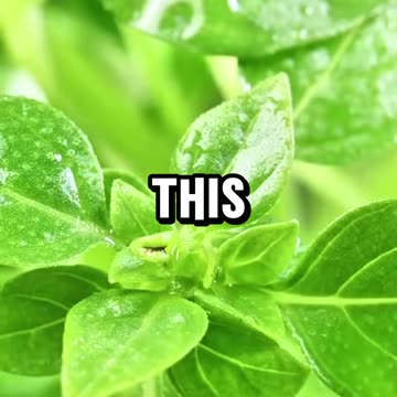 Yeah definitely my favorite ...carry it traveling!!