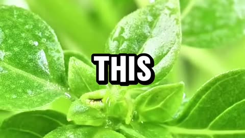 Yeah definitely my favorite ...carry it traveling!!