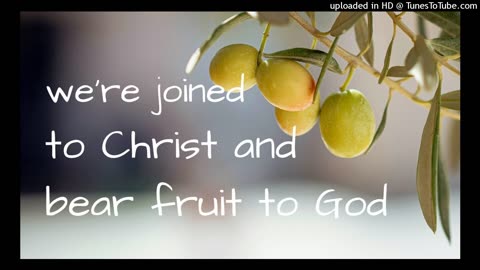 we're joined to Christ and bear fruit to God