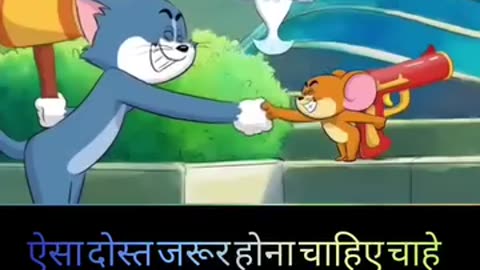 Funny videos
