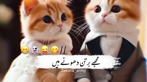 verry funy video