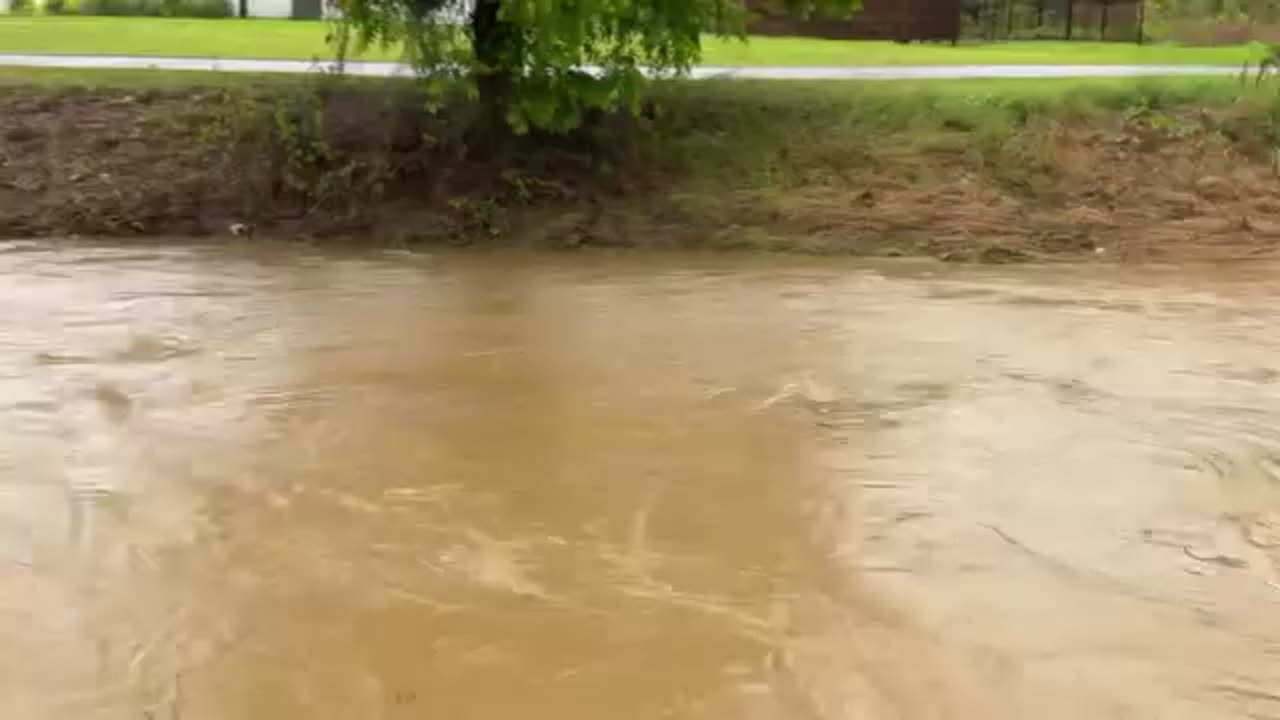 WATCH: Waters Roar In Conway Creek As Rain Pours