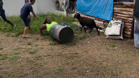 😂🐄 This Cow's Reaction is Too Cute! | FunFM