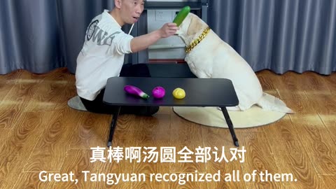 看图找蔬菜，快问快答 Look at the pictures to find vegetables. Quick questions and answers.