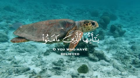 آيات من القرآن بصوت هادئ | تلاوة خاشعة تبعث على الراحة والسكينة