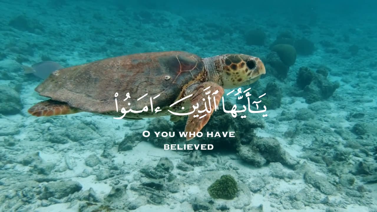 آيات من القرآن بصوت هادئ | تلاوة خاشعة تبعث على الراحة والسكينة