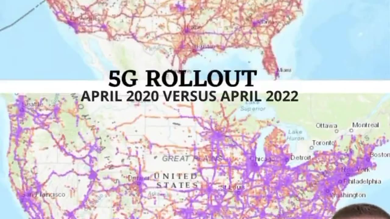 NICOTINE RABBIT HOLE