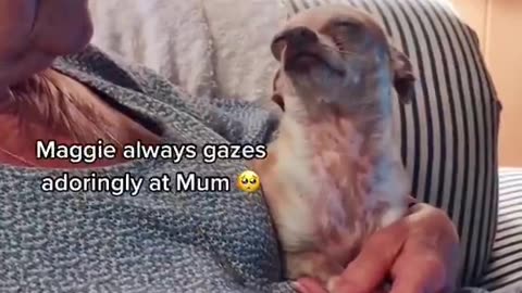 Love You Lola