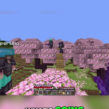 Elytra Fail! Jumper Saves Director's Life?!