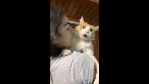Cats n babies