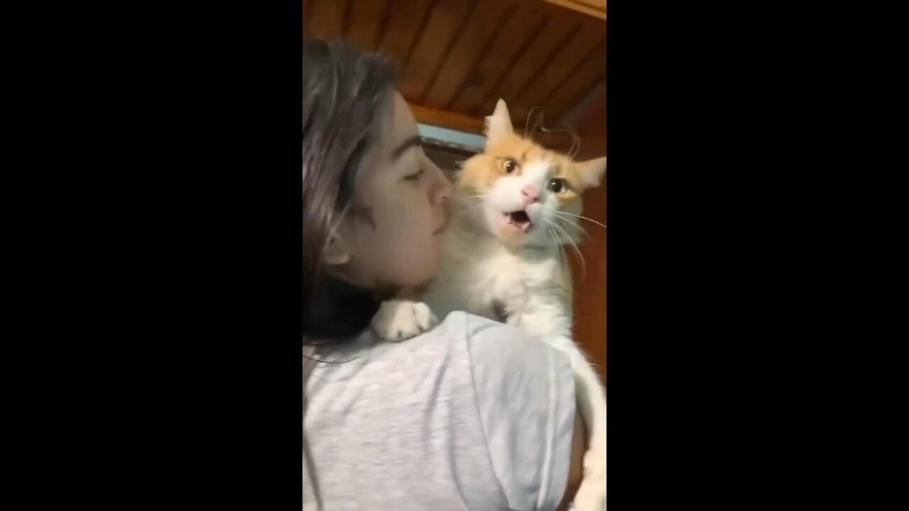 Cats n babies