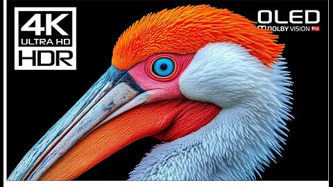 UNSEEN 4K HDR Dolby Vision 4K Video ULTRA HD 120 FPS