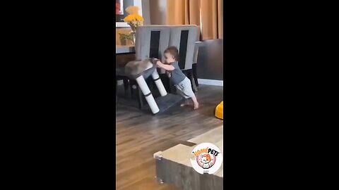 Pet Cat funny Baby