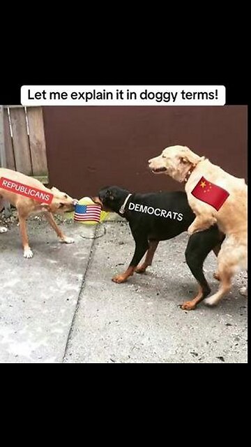 Democrats love DOGE...