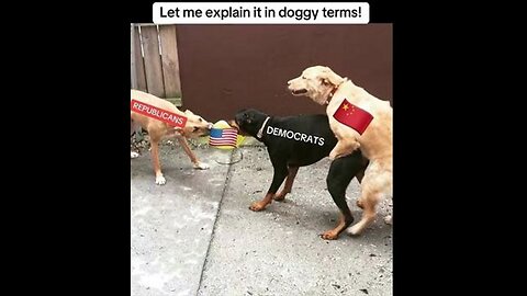 Democrats love DOGE...