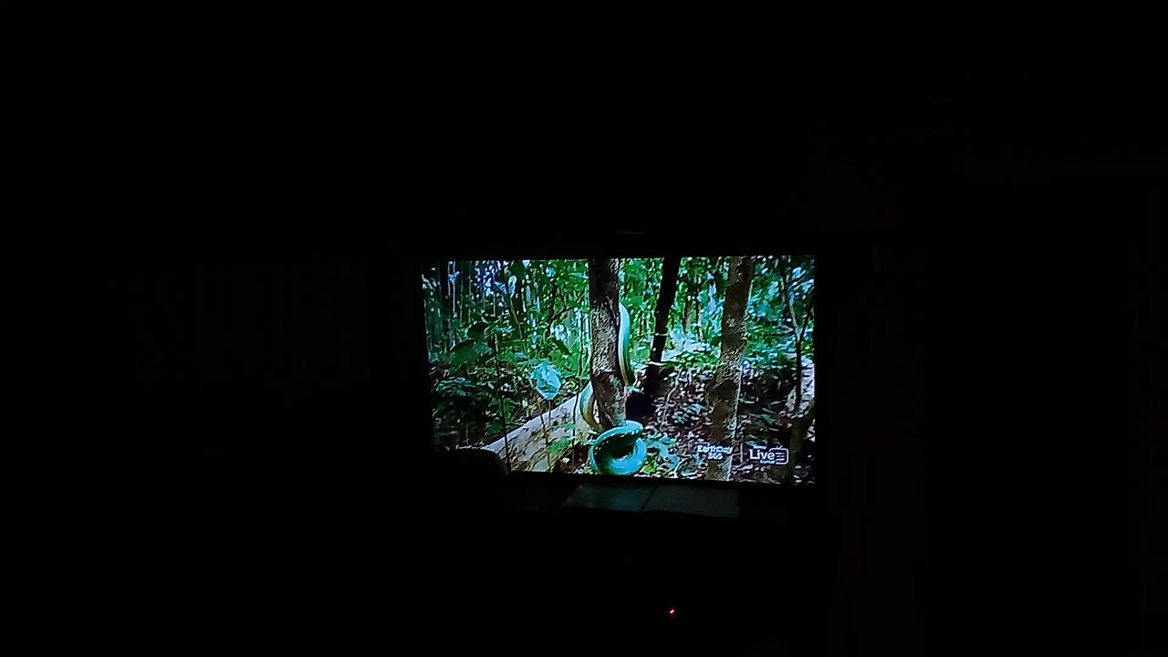 2 mins TMI short video 📷 from my home
