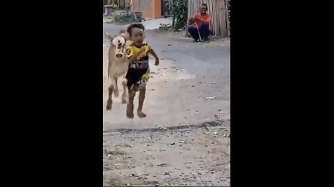 animalsvault Hilarious animal moments🤣😂