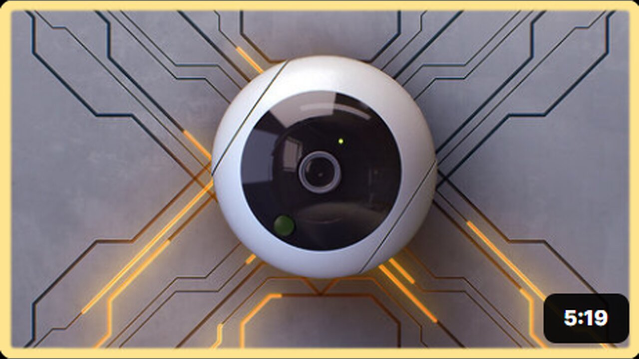 Algorithmic Pricing and the American Social Credit Score