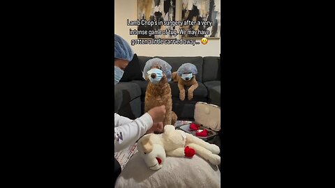 Funny Compilation