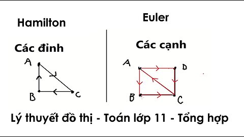 Tổng hợp các kiến thức cơ bản về đường đi, chu trình Hamilton và Euler lớp 11 thi THPT 2026