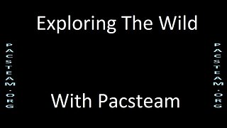 Exploring The Wild With Pacsteam