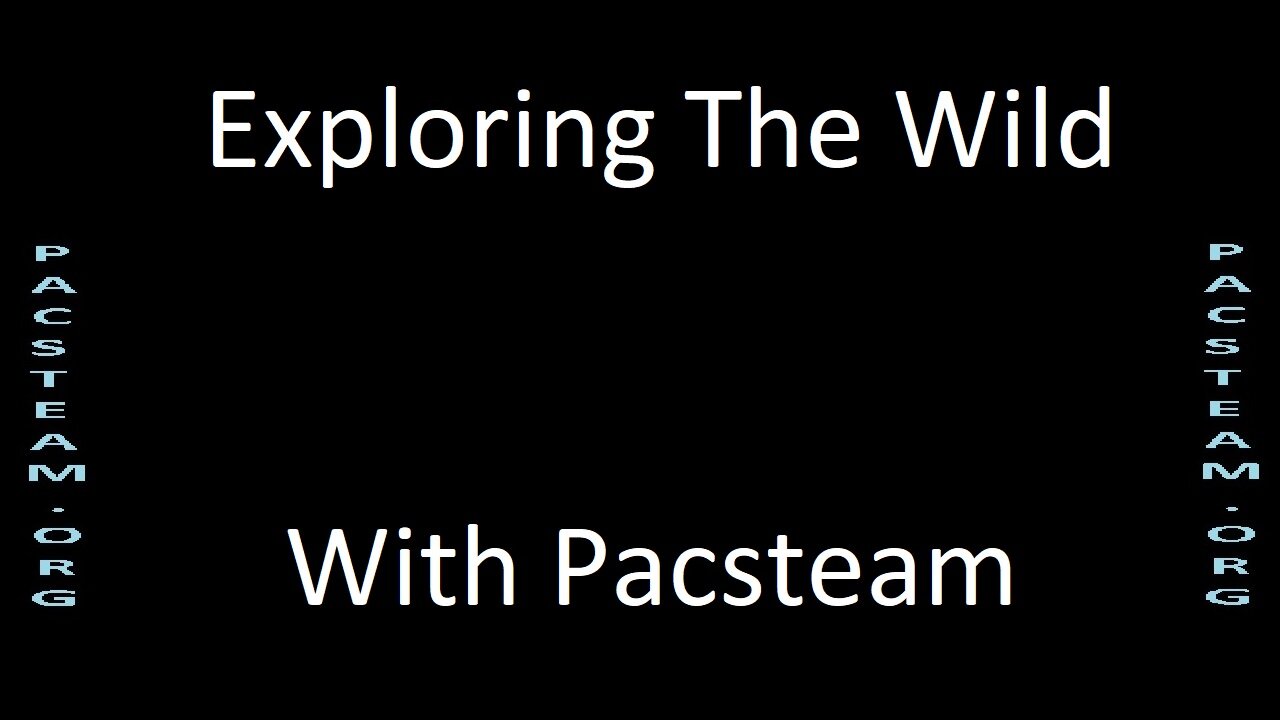 Exploring The Wild With Pacsteam