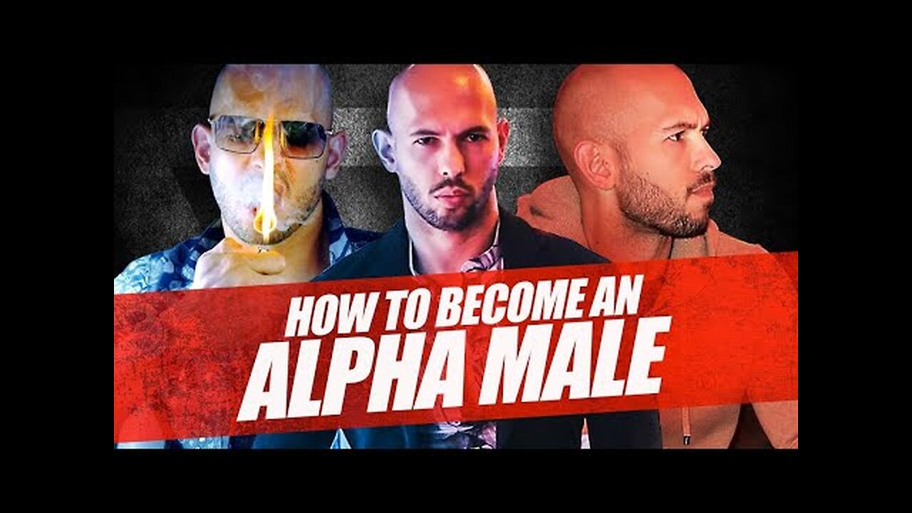 How to Be An ALPHA MALE Who Doesn't Give a F%$# With Andrew Tate | TATE CONFIDENCIAL