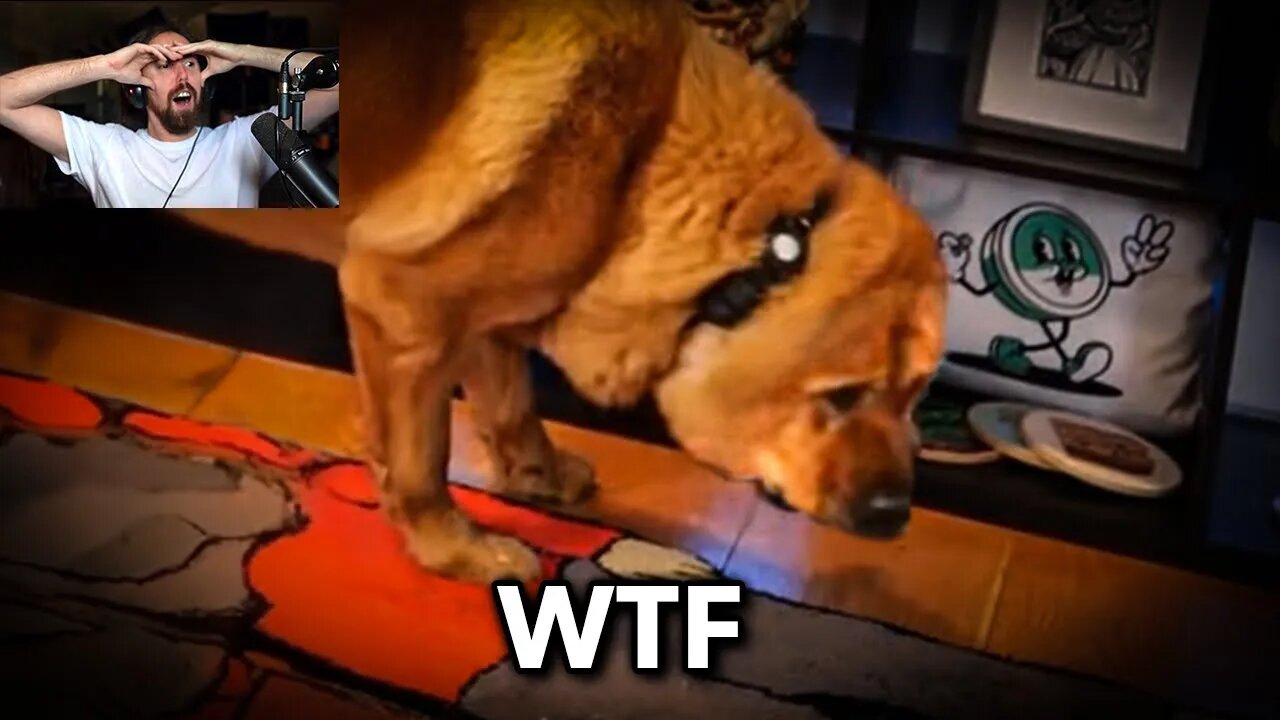 YOUTUBE IS WILD FOR THIS..