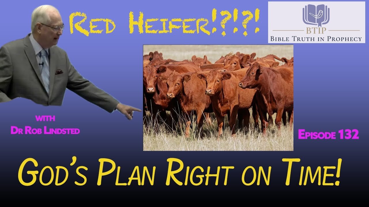 Episode 132 God's Plan Right on Time with Dr Rob Lindsted