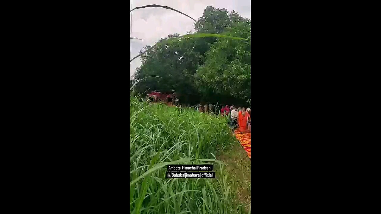 satisfying Video