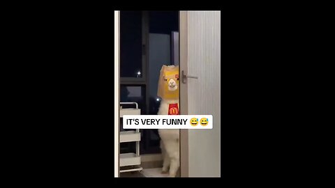 mimim