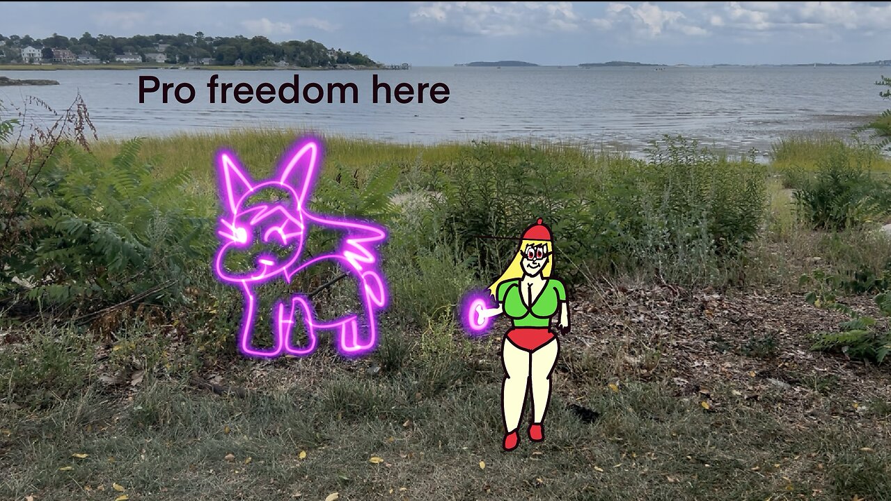 Vanilla’s pro freedom message