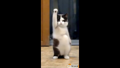 Kitler improves weather report