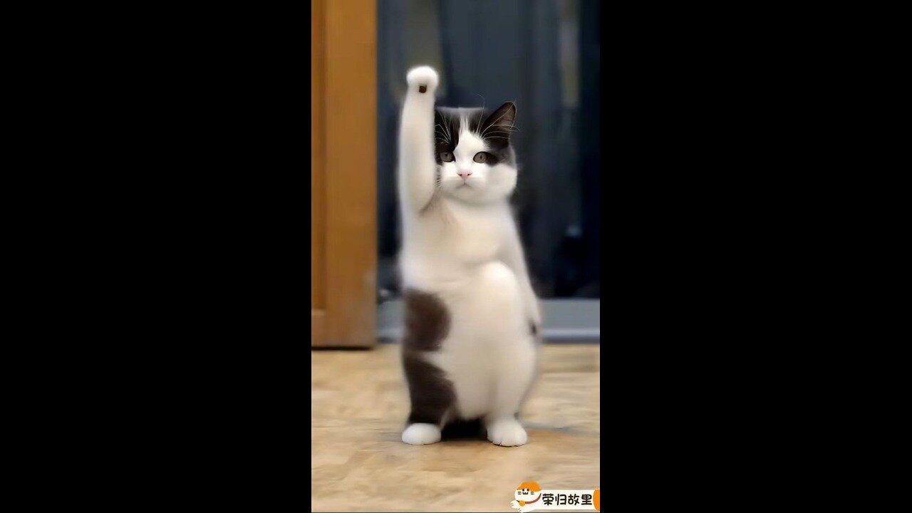 Kitler improves weather report