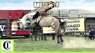 Bronc Riding 1 - 2024 Tom Horn Days Cowboy Rendezvous | Saturday