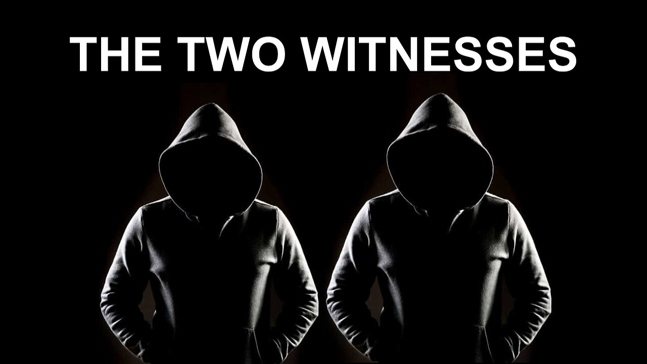 The Two Witnesses