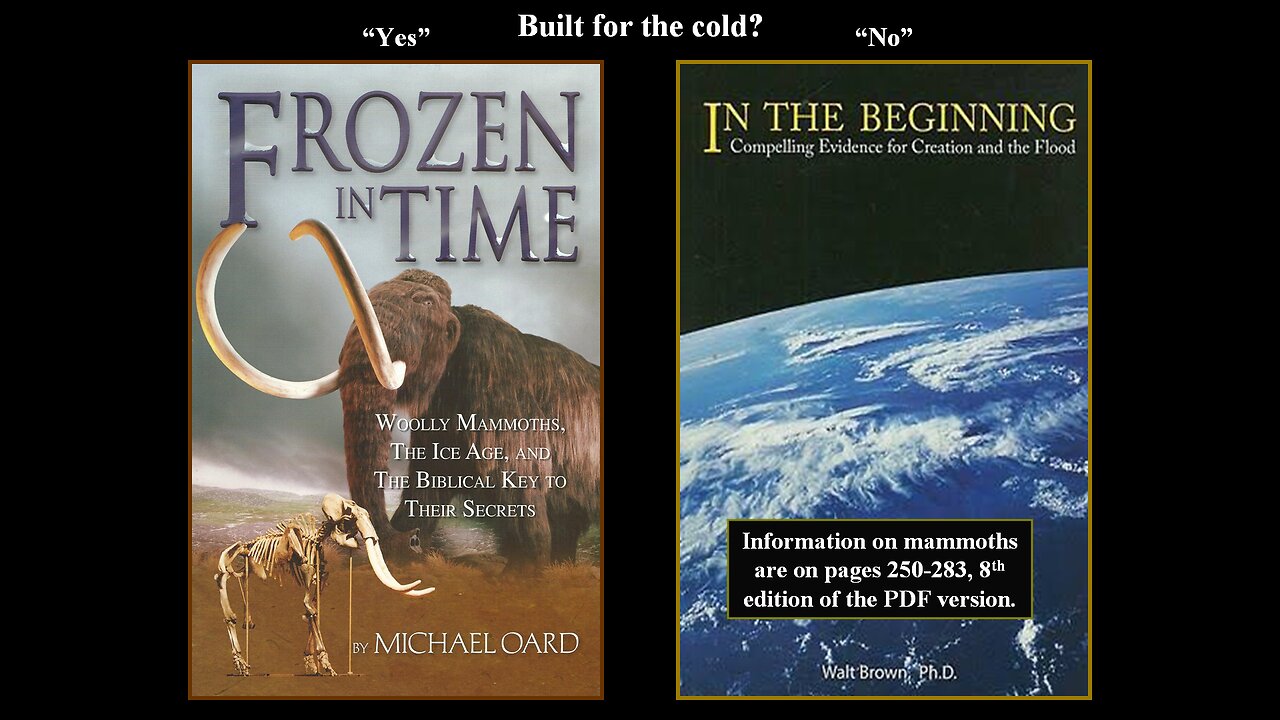 Concluding with the topic of the Mammoths