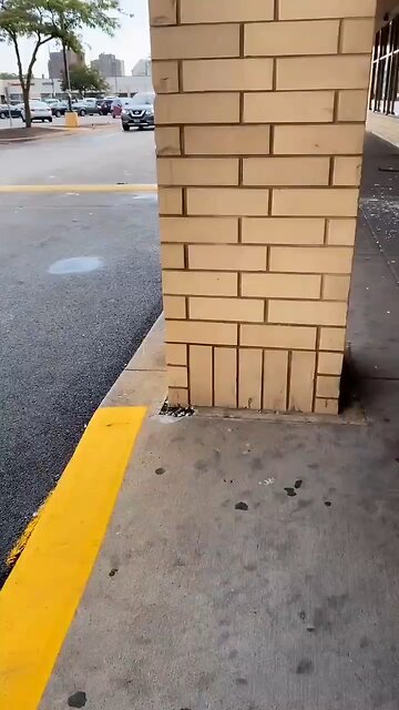 Chicago: A Jeep was rammed into a South Shore store early Thursday before burglars