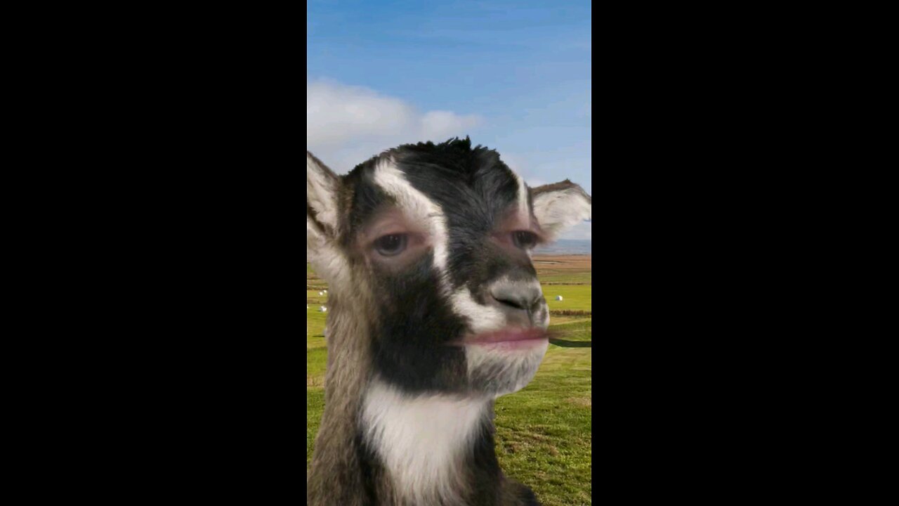 you've goat a weird friend