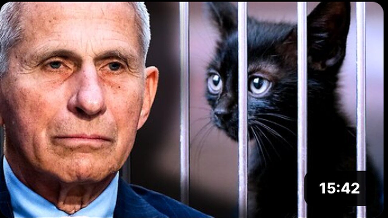Fauci Says Millions of Pet Cats Must Be Slaughtered to Fight Bird Flu Pandemic