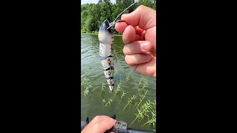 The Ultimate Predator of All Lures