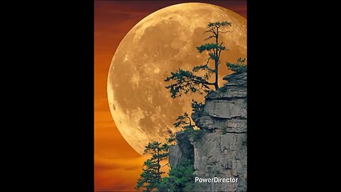 No Sabbath is not same Sabbath Day